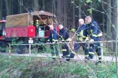 foto_2011_11