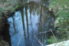 foto_2011_12