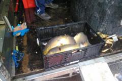 83914459_2714061548710423_3460902402511601664_n