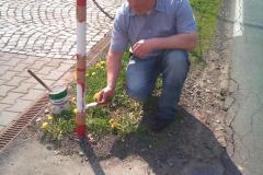 foto_2011_13