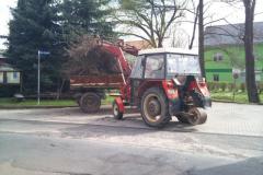 foto_2011_2
