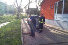 foto_2011_6