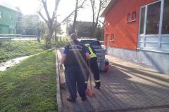 foto_2011_7