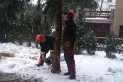 ausbildung_22.03.13.7
