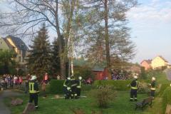 Maibaumstellen_2014_7