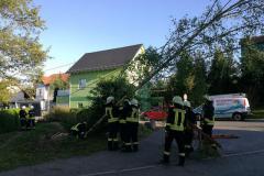 IMG-20180501-WA0045