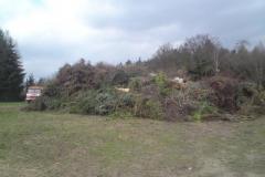 osterfeuer_1_2010