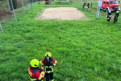 Bild-19