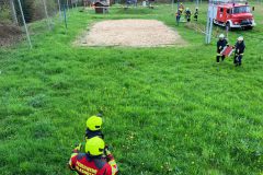 Bild-21