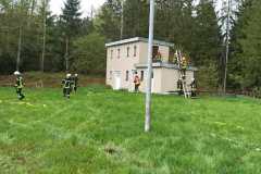 Bild-3